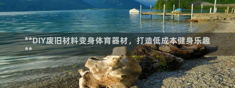 富联平台木 5o69I7：**DIY废旧材料变身体育