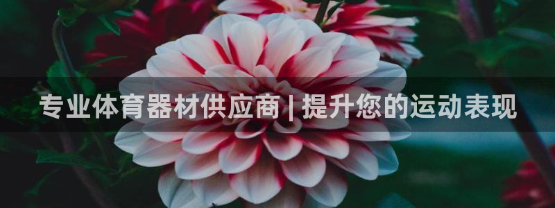 富联娱乐官方网站入口：专业体育器材供应商 | 提升您