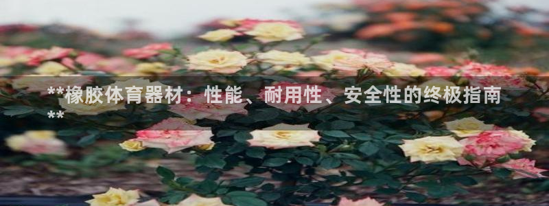 富联官网注册流程图：**橡胶体育器材：性能、耐用性、