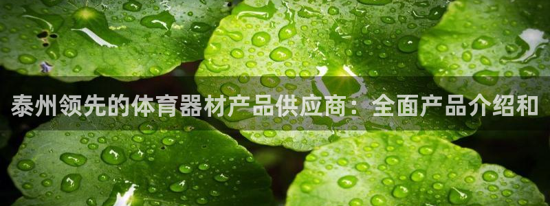 富联娱乐平台开户条件是什么