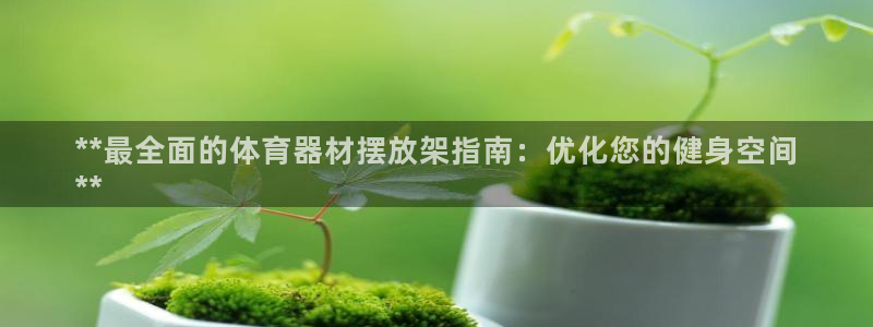 富联官方网站：**最全面的体育器材摆放架指南：优化您