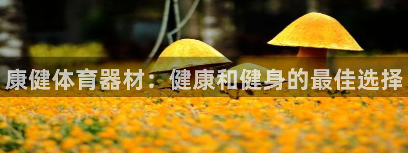 富联平台微信怎么注销：康健体育器材：健康和健身的最佳
