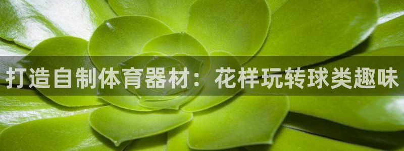富联娱乐登录地址在哪里：打造自制体育器材：花样玩转球