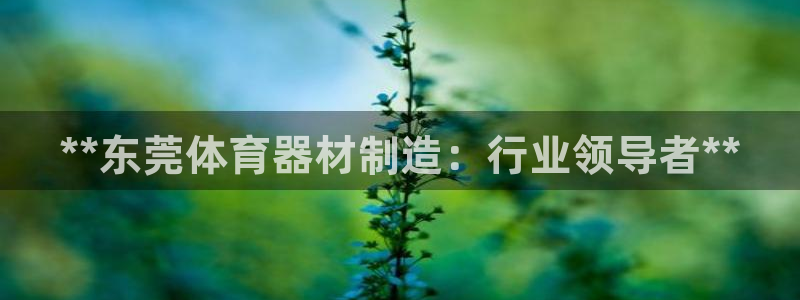 富联科技上市了吗最近：**东莞体育器材制造：行业领导