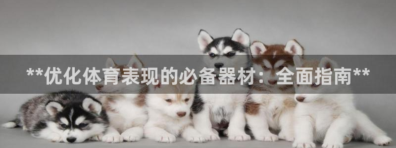 富联娱乐测速地址在哪：**优化体育表现的必备器材：全