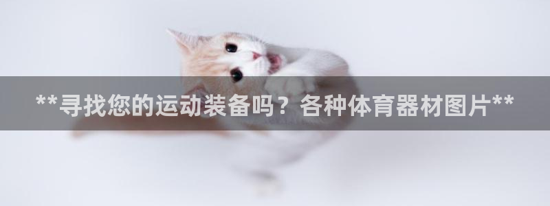 富联平台商 5O6917 平台：**寻找您的运动装备