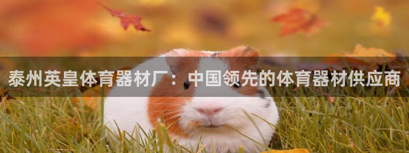 富联平台上级下级是什么：泰州英皇体育器材厂：中国领先