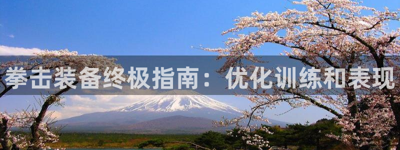 富联官网注册流程：拳击装备终极指南：优化训练和表现