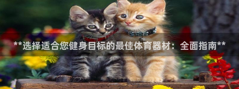 富联官网注册不了账号怎么回事：**选择适合您健身目标