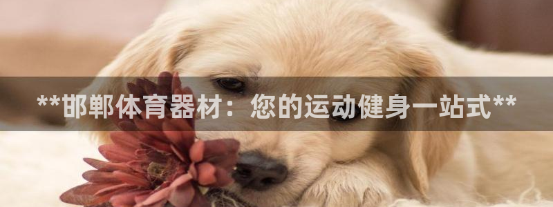 富联平台总代