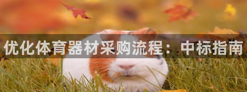 富联娱乐平台是什么平台：优化体育器材采购流程：中标指