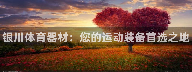富联娱乐客户端app下载服务器失败怎么办：银川体育器