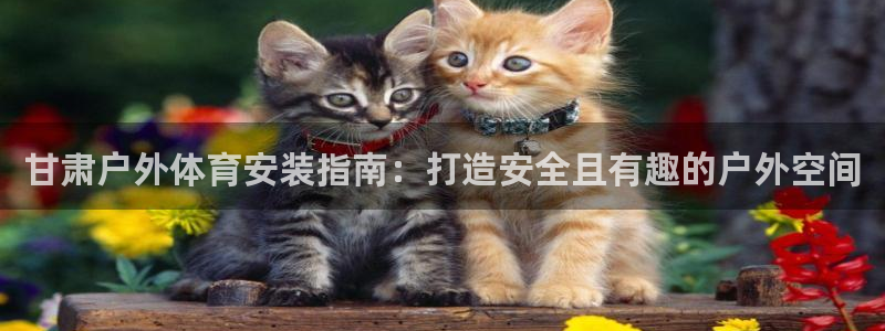 富联娱乐登录注册入口官网网址是多少：甘肃户外体育安装