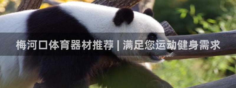 富联官方网站下载app：梅河口体育器材推荐 | 满足