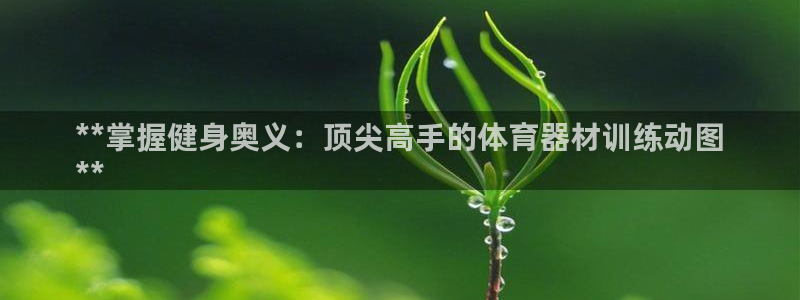 富联平台安装流程：**掌握健身奥义：顶尖高手的体育器