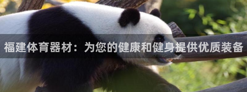 富联官方网站下载安装：福建体育器材：为您的健康和健身