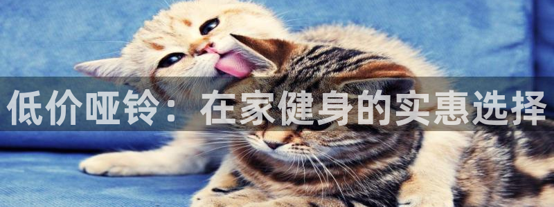 富联娱乐测速登录不了：低价哑铃：在家健身的实惠选择