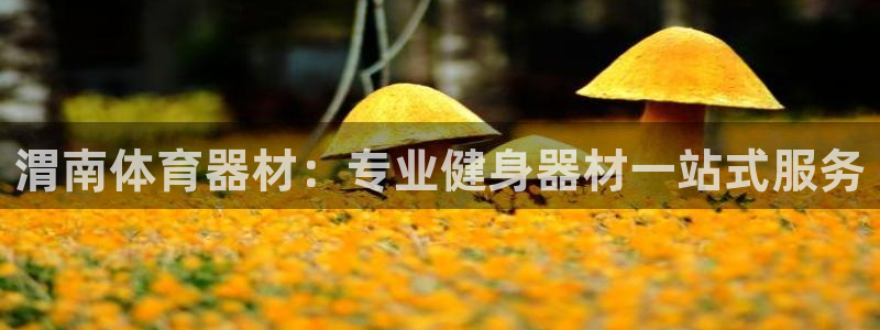 富联官网授权店铺：渭南体育器材：专业健身器材一站式服