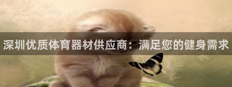 富联申购上市价格预测最新：深圳优质体育器材供应商：满