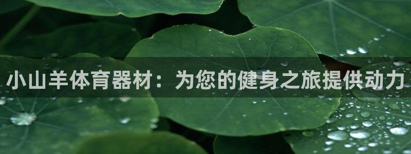 富联平台挂机：小山羊体育器材：为您的健身之旅提供动力