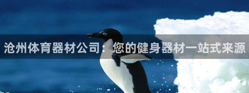富联平台先 37oo735：沧州体育器材公司：您的健