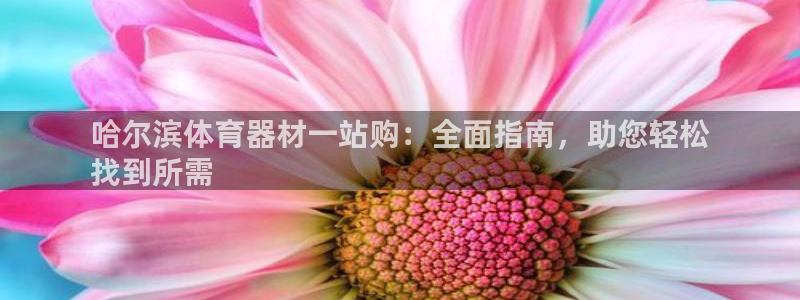 富联平台代理注册条件：哈尔滨体育器材一站购：全面指南