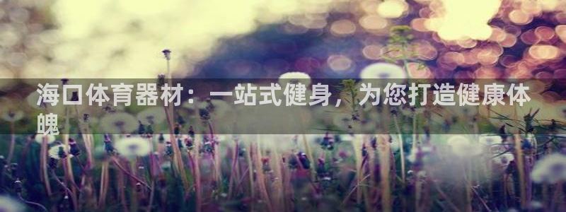 富联娱乐玩法机制：海口体育器材：一站式健身，为您打造
