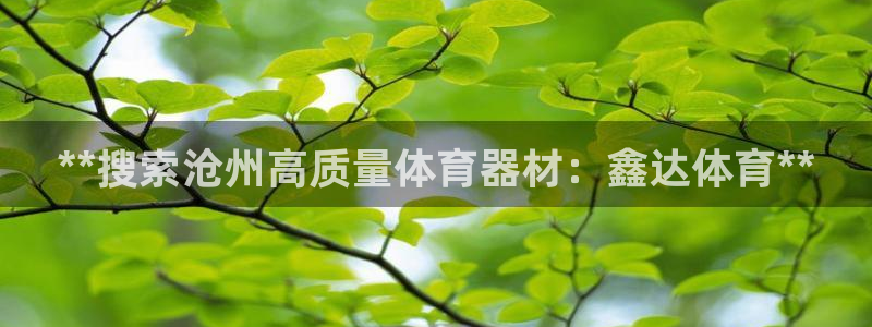 富联机器人产业研发基地：**搜索沧州高质量体育器材：