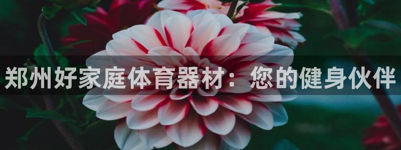 富联官方网站首页入口：郑州好家庭体育器材：您的健身伙