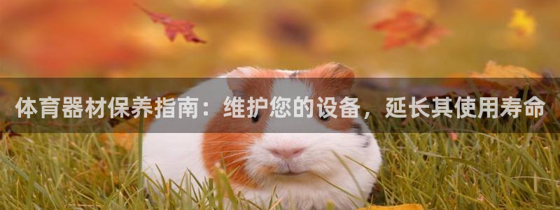富联娱乐登录注册入口官网下载手机版：体育器材保养指南