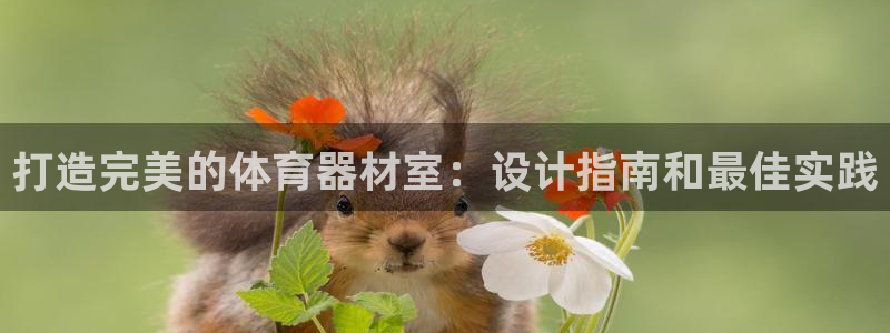 富联平台登录注册流程：打造完美的体育器材室：设计指南