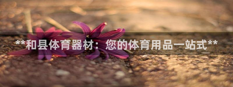 富联公寓租房怎么样：**和县体育器材：您的体育用品一站式**