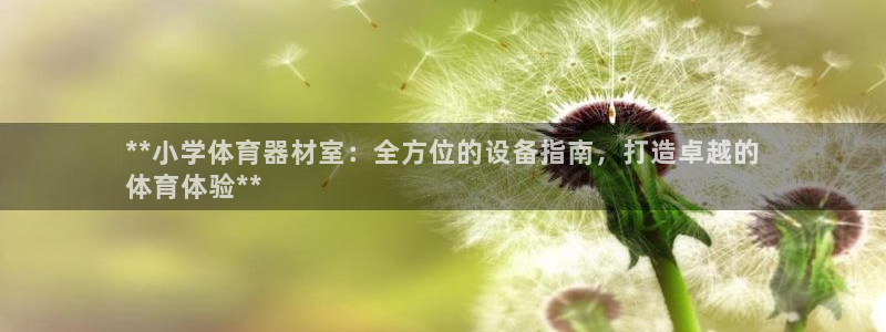 富联平台结7O777：**小学体育器材室：全方位的设