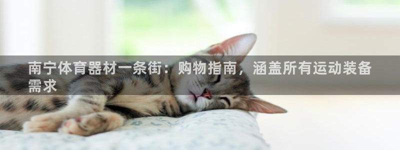 富联官网注册不了账号怎么办：南宁体育器材一条街：购物