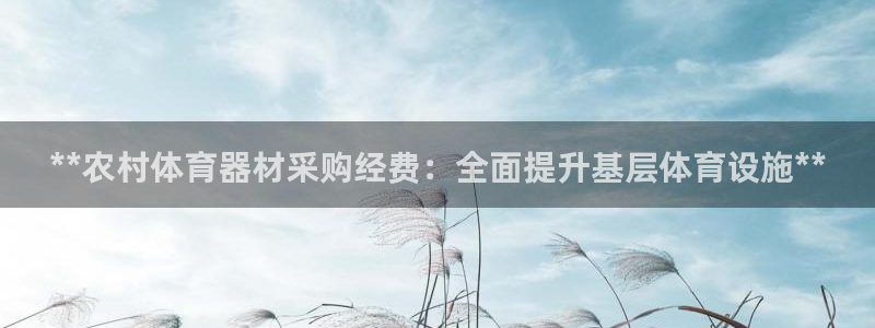富联娱乐平台开户流程视频：**农村体育器材采购经费：