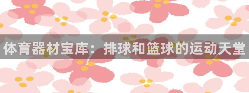 富联食品：体育器材宝库：排球和篮球的运动天堂