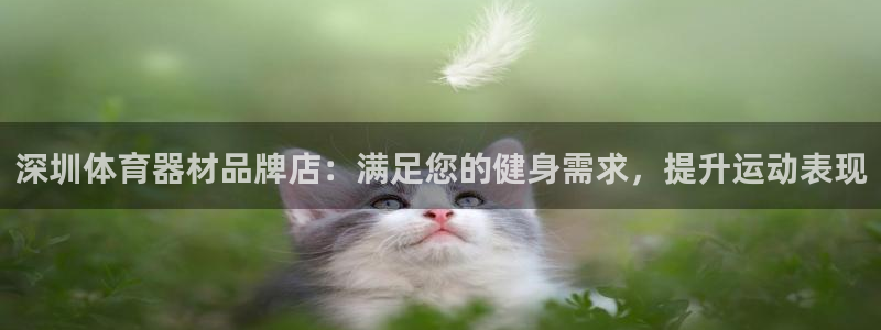 富联娱乐按7O777：深圳体育器材品牌店：满足您的健