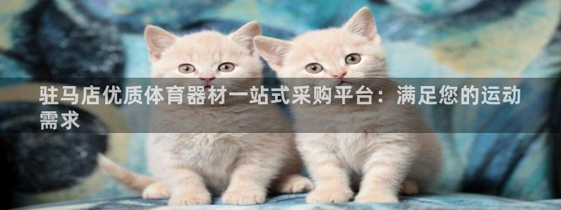 富联一区属于哪个街道：驻马店优质体育器材一站式采购平