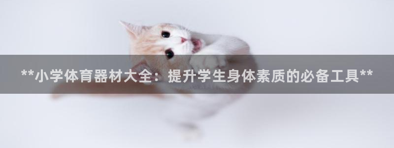 富联通讯简介：**小学体育器材大全：提升学生身体素质