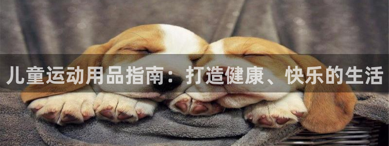 富联娱乐客户端app下载服务器异常：儿童运动用品指南：打造健
