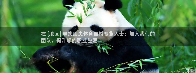 富联娱乐登录注册入口官网：在 [地区] 寻找顶尖体育器材专业