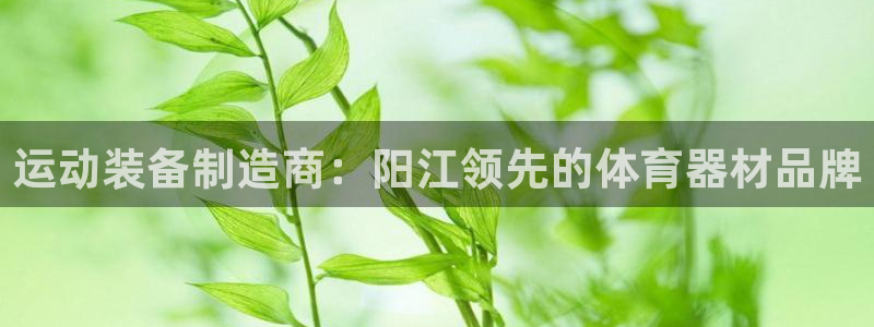 富联娱乐集7O777：运动装备制造商：阳江领先的体育