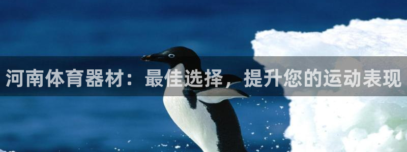 富联娱乐律7O777：河南体育器材：最佳选择，提升您