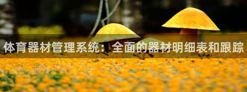 富联娱乐怎么样可靠吗：体育器材管理系统：全面的器材明
