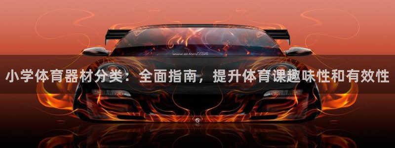 富联平台开户条件：小学体育器材分类：全面指南，提升体