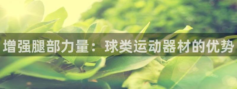 富联官方网站入口网址查询：增强腿部力量：球类运动器材