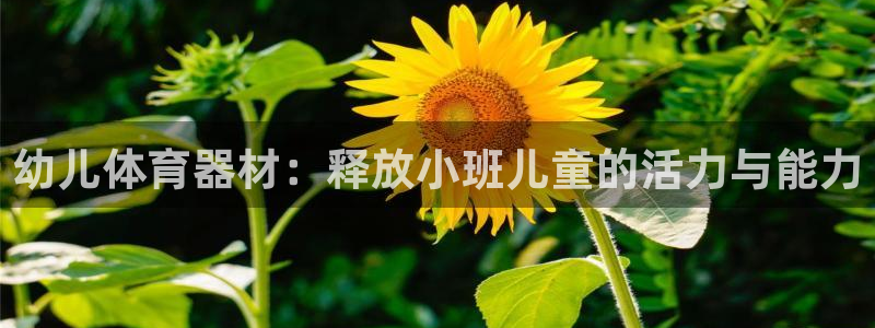 富联平台先选 58534I 富联：幼儿体育器材：释放