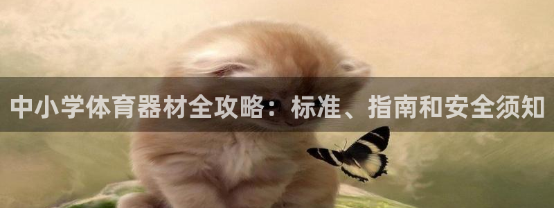 富联娱乐官方网站首页下载：中小学体育器材全攻略：标准