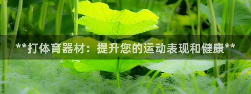富联通讯简介：**打体育器材：提升您的运动表现和健康
