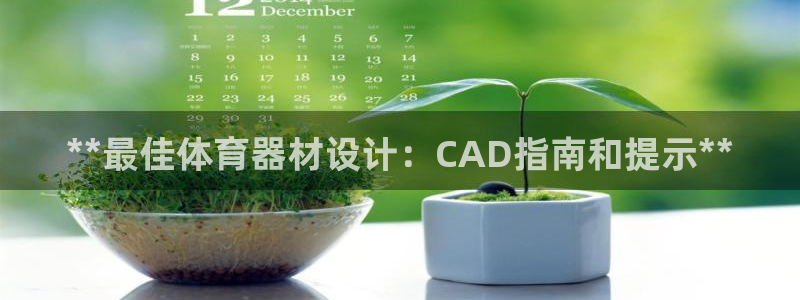 富联娱乐官方网站首页下载：**最佳体育器材设计：CA